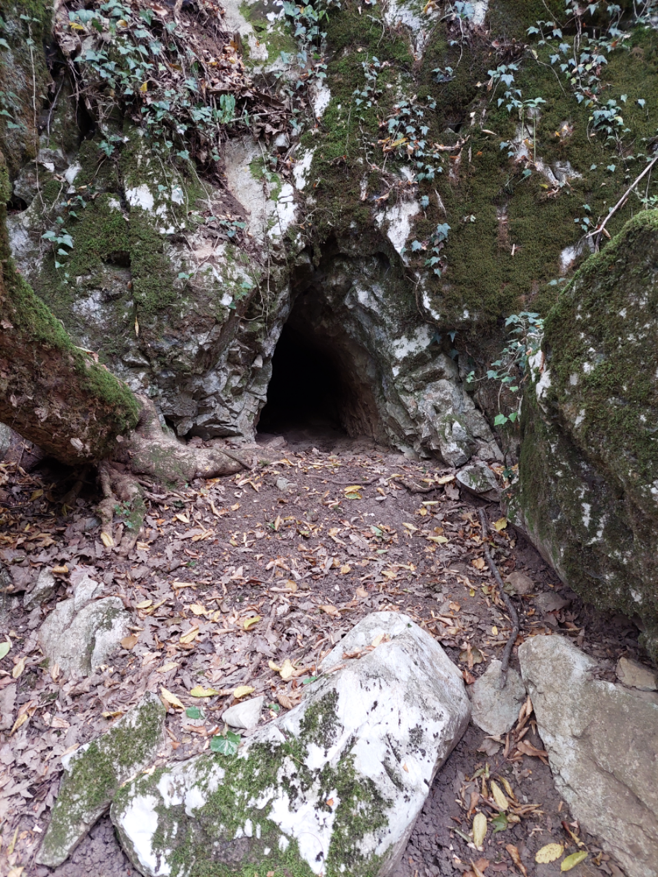 Intrare destul de mica care vreo 20m continua doar taras.